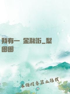 我有一條金融街