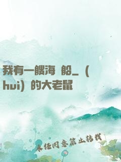 我有一艘海盜船
