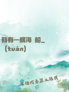 我有一艘海盜船