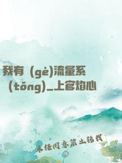 我有個(gè)流量系統(tǒng)