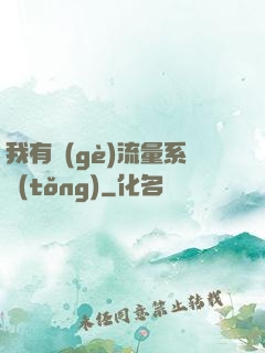 我有個(gè)流量系統(tǒng)
