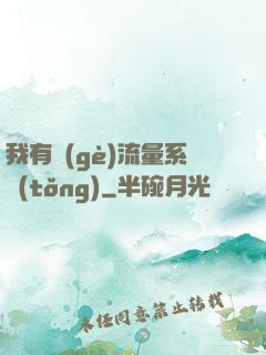 我有個(gè)流量系統(tǒng)