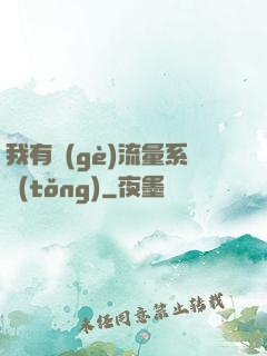 我有個(gè)流量系統(tǒng)