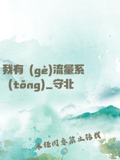 我有個(gè)流量系統(tǒng)