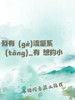 我有個(gè)流量系統(tǒng)