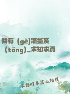 我有個(gè)流量系統(tǒng)