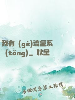 我有個(gè)流量系統(tǒng)