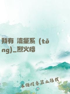 我有個流量系統(tǒng)