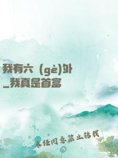 我有六個(gè)外掛