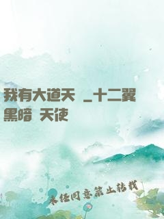 我有大道天書