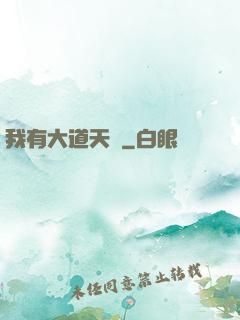 我有大道天書