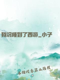 我沉睡到了西游