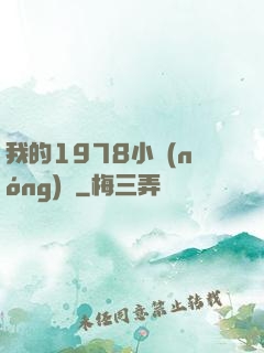 我的1978小農(nóng)莊