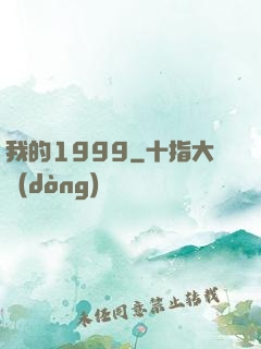 我的1999
