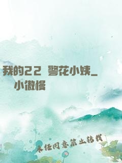 我的22歲警花小姨