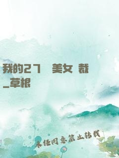 我的27歲絕美女總裁