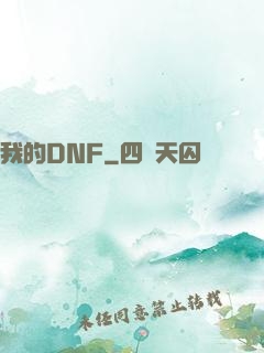 我的DNF