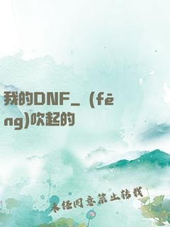 我的DNF
