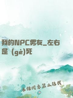 我的NPC男友