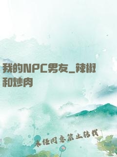我的NPC男友