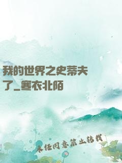 我的世界之史蒂夫無敵了