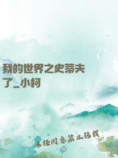 我的世界之史蒂夫無敵了