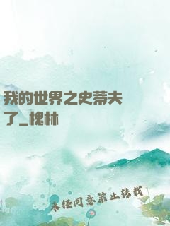 我的世界之史蒂夫無敵了