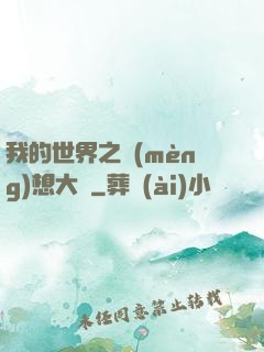 我的世界之夢(mèng)想大陸