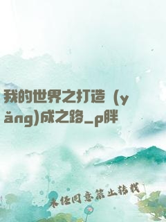 我的世界之打造養(yǎng)成之路