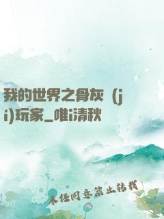 我的世界之骨灰級(jí)玩家