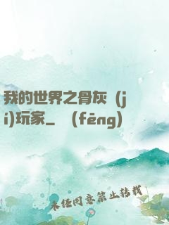 我的世界之骨灰級(jí)玩家