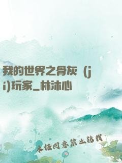 我的世界之骨灰級(jí)玩家