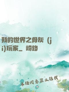 我的世界之骨灰級(jí)玩家