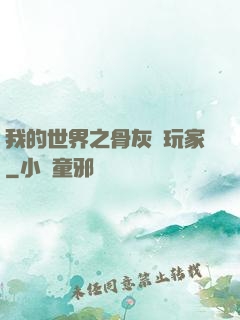 我的世界之骨灰級玩家