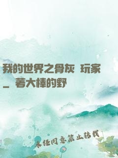 我的世界之骨灰級玩家