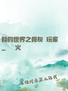 我的世界之骨灰級玩家