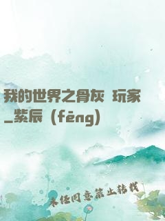 我的世界之骨灰級玩家