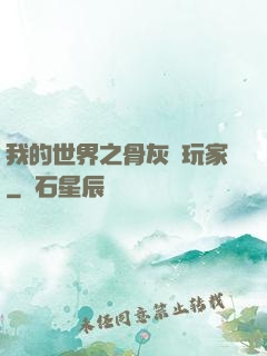 我的世界之骨灰級玩家