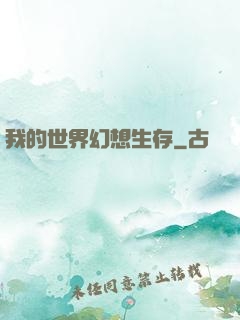我的世界幻想生存