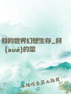 我的世界幻想生存