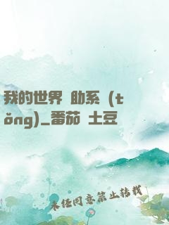 我的世界輔助系統(tǒng)