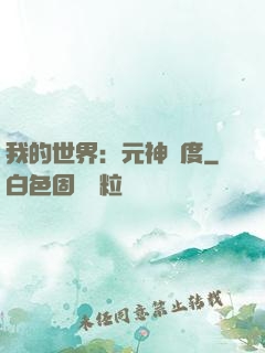 我的世界：元神國度