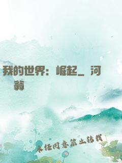 我的世界：崛起