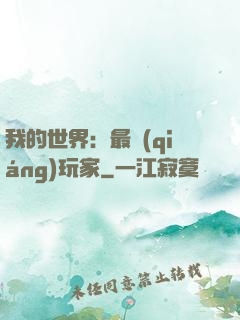 我的世界：最強(qiáng)玩家