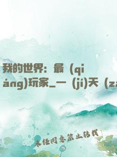 我的世界：最強(qiáng)玩家