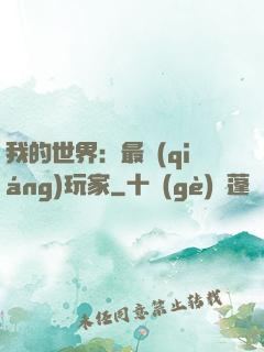 我的世界：最強(qiáng)玩家