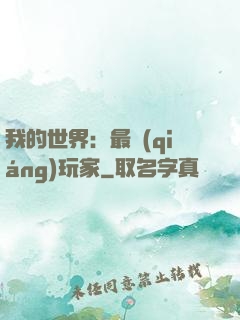 我的世界：最強(qiáng)玩家