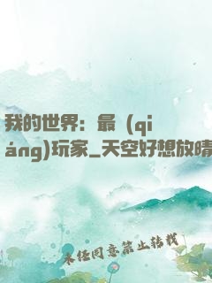我的世界：最強(qiáng)玩家