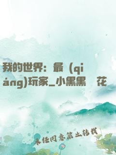 我的世界：最強(qiáng)玩家