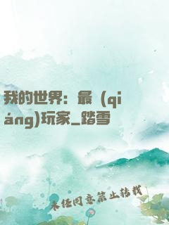 我的世界：最強(qiáng)玩家